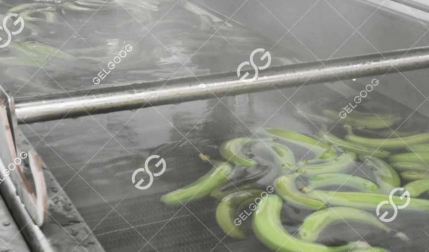 aplikasi-mesin-blansing-keripik-pisang