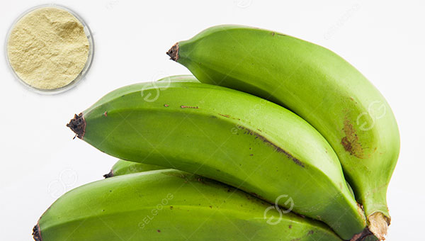tepung pisang