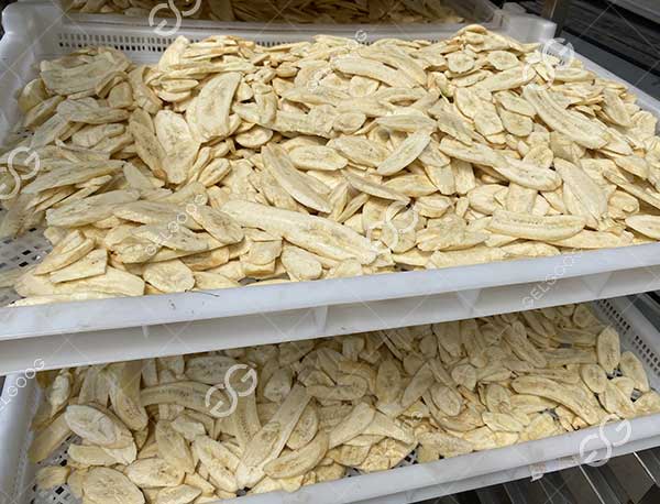 mesin pengering pisang raja